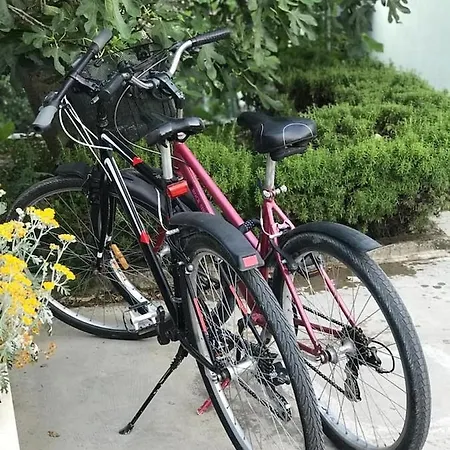 Bartol With Free Bikes And Great Local Food * Trogir