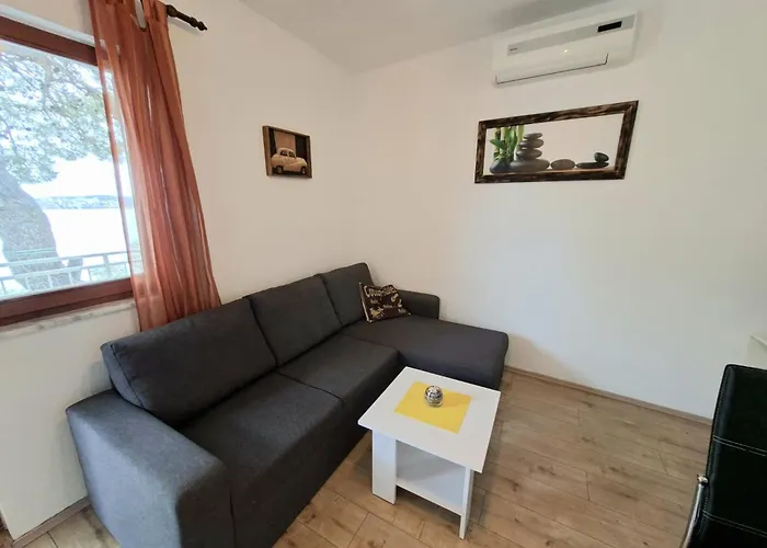 Bartol With Free Bikes