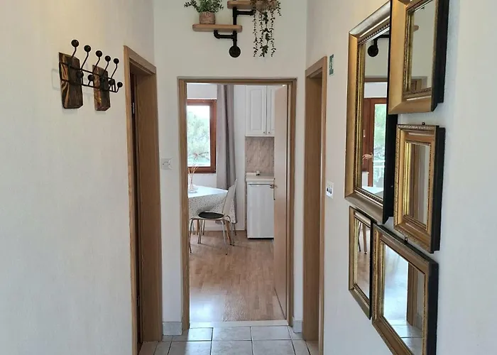 Bartol With Free Bikes