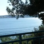 Bartol With Free Bikes טרוגיר