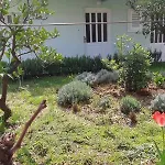 דירה Bartol With Free Bikes *