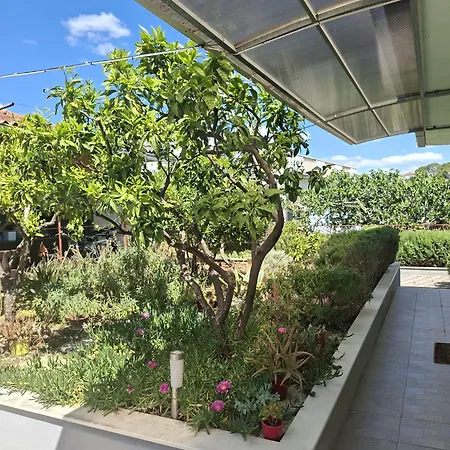 Bartol With Free Bikes