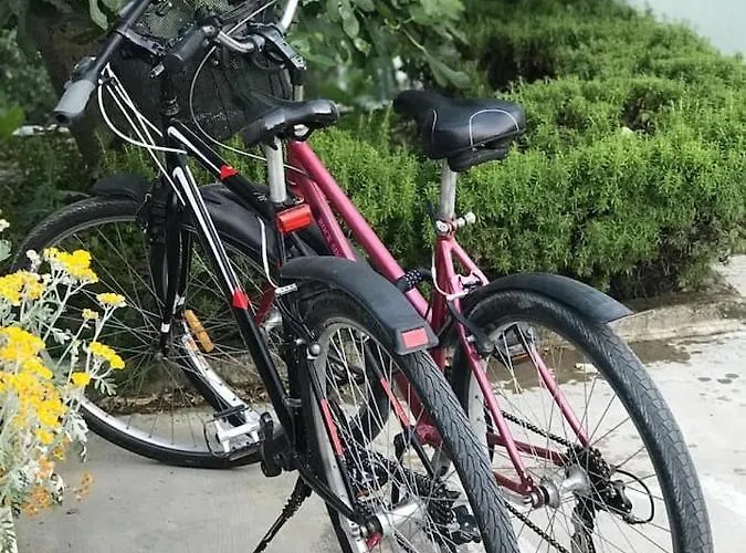 Bartol With Free Bikes * Traù