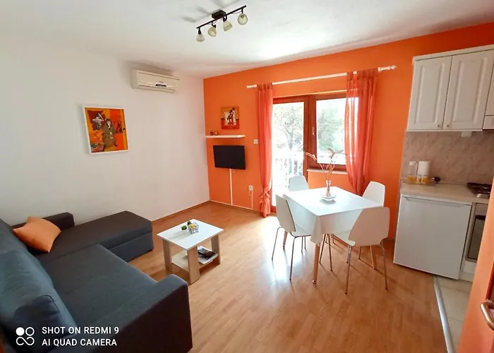 Bartol With Free Bikes * Traù